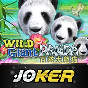 Joker123 - solidplay99
