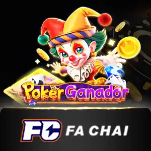facaiarcade - solidplay99