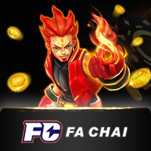 fachai - solidplay99
