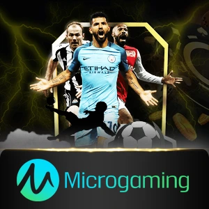 microgaming - solidplay99