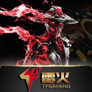 tfgamingarcade - solidplay99