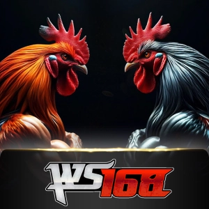 ws168 - solidplay99